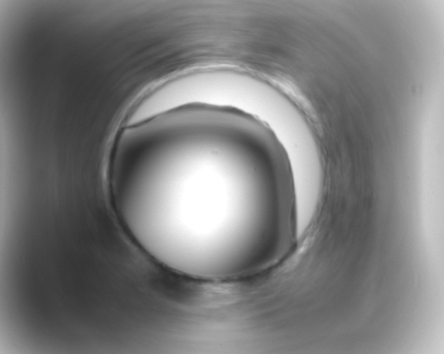 X0000088701181200706211939
