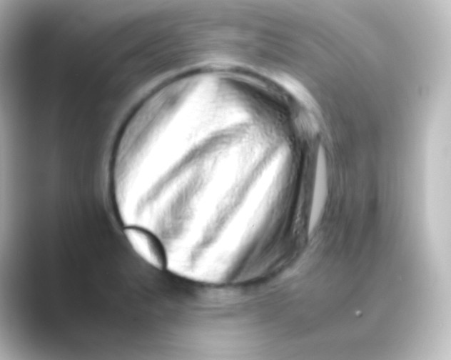 X0000088701183200706211939