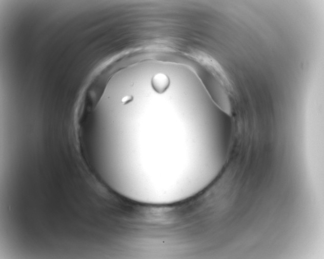 X0000088701184200706211939