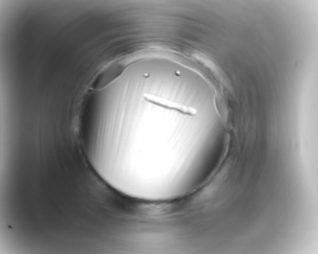 X0000088701185200706211939