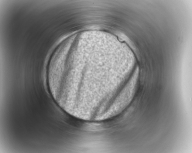 X0000088701187200706211939