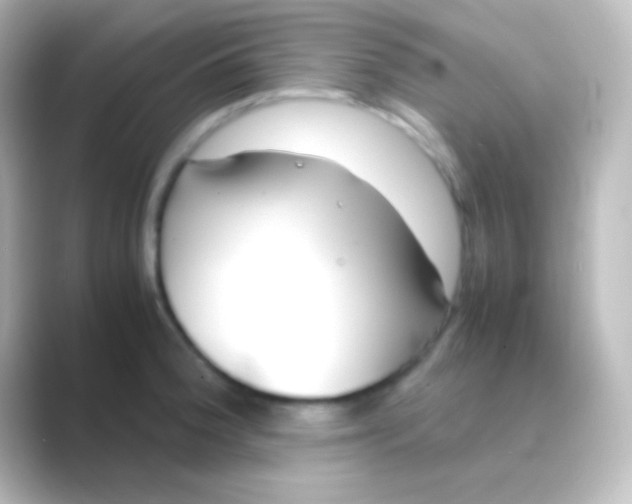 X0000088701188200706211939