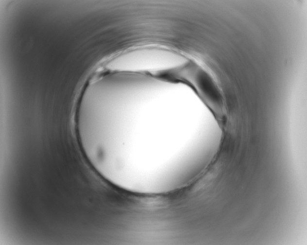 X0000088701189200706211939
