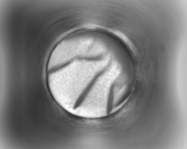 X0000088701191200706211939
