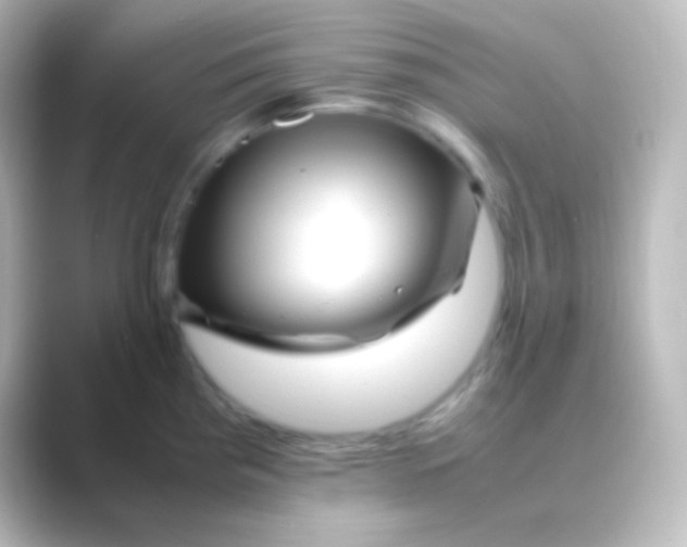 X0000088701193200706211939