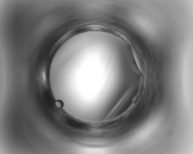 X0000088701198200706211939