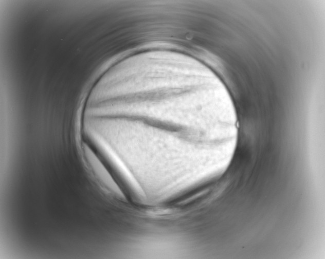 X0000088701199200706211939