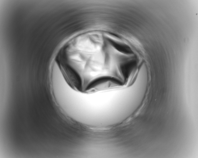 X0000088701200200706211939
