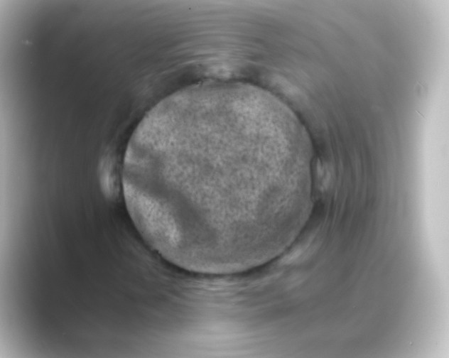 X0000088701202200706211938