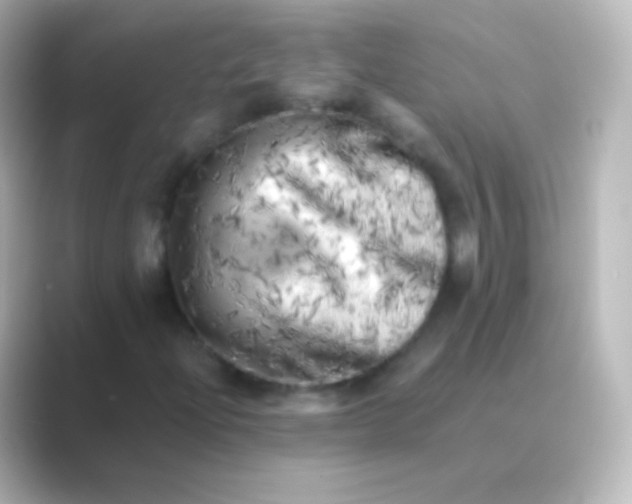 X0000088701204200706211938