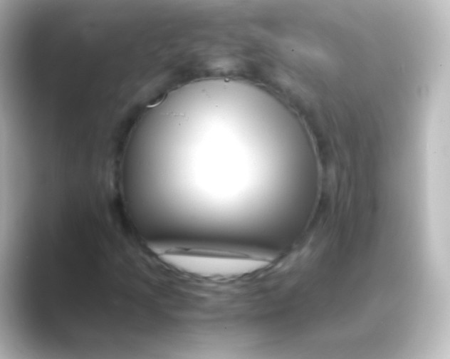 X0000088701205200706211938