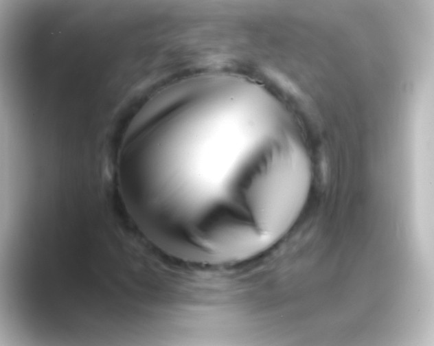 X0000088701206200706211938