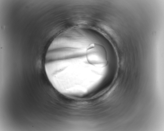X0000088701209200706211938