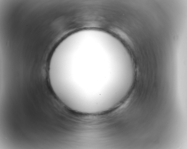 X0000088701212200706211938