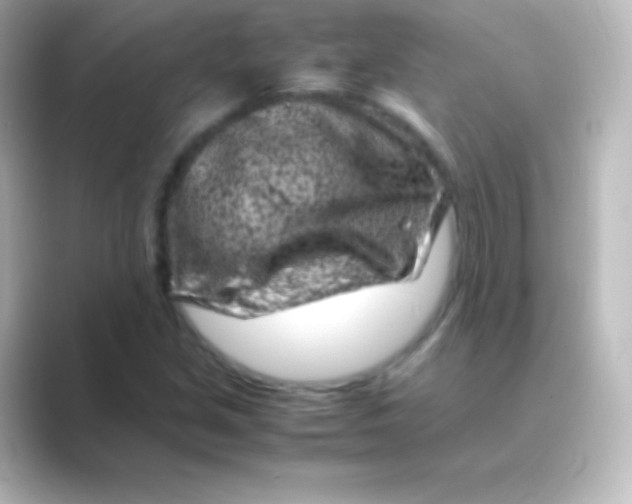 X0000088701213200706211938