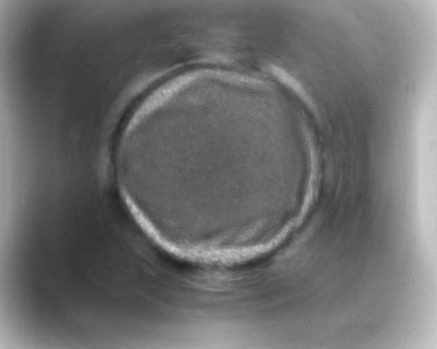 X0000088701215200706211938
