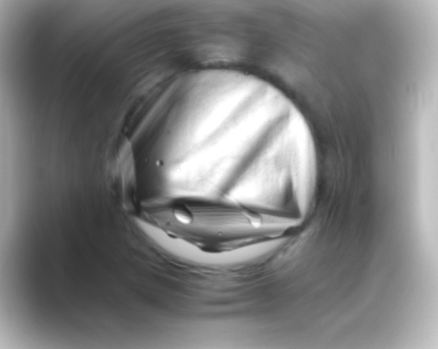 X0000088701217200706211938