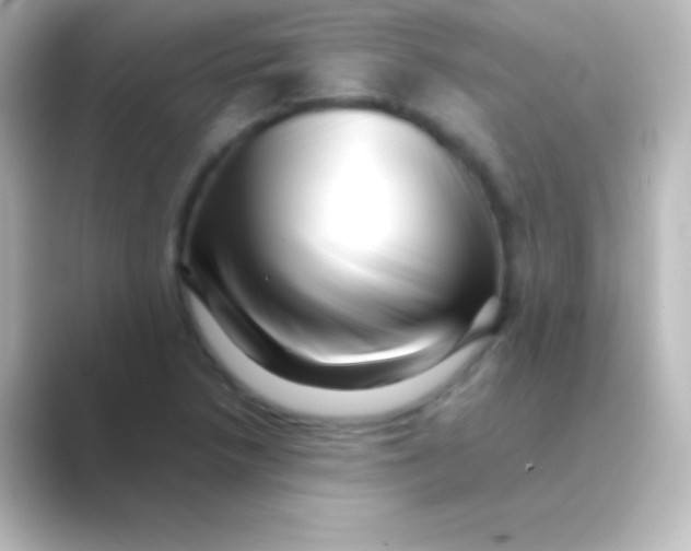 X0000088701218200706211938