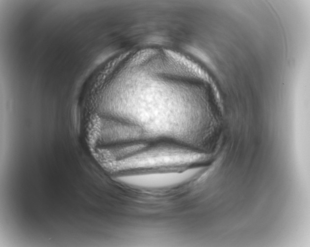 X0000088701219200706211938