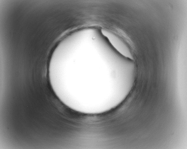 X0000088701220200706211938