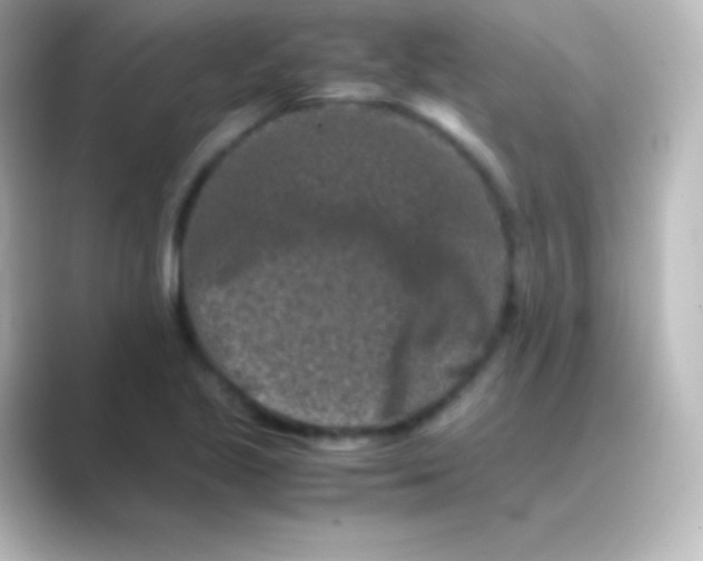 X0000088701221200706211938