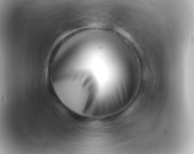 X0000088701222200706211939