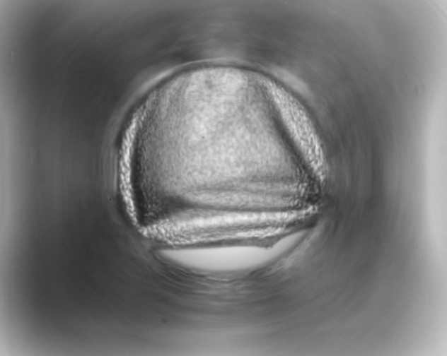 X0000088701223200706211939