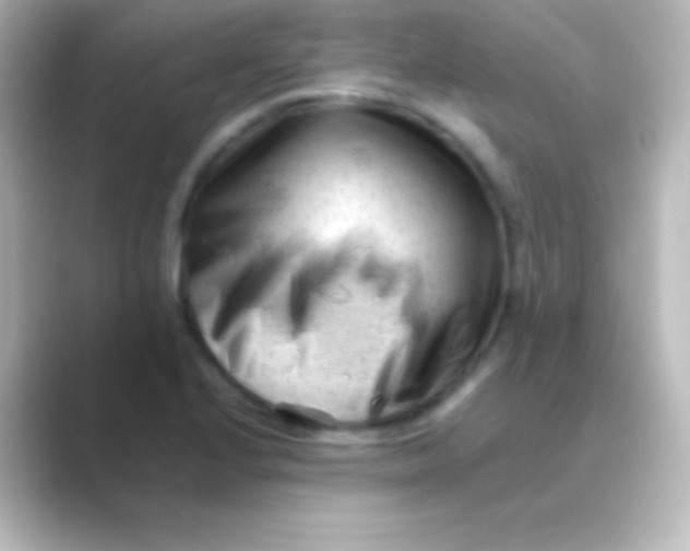 X0000088701224200706211939