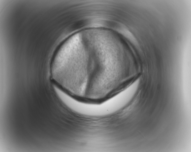 X0000088701226200706211939