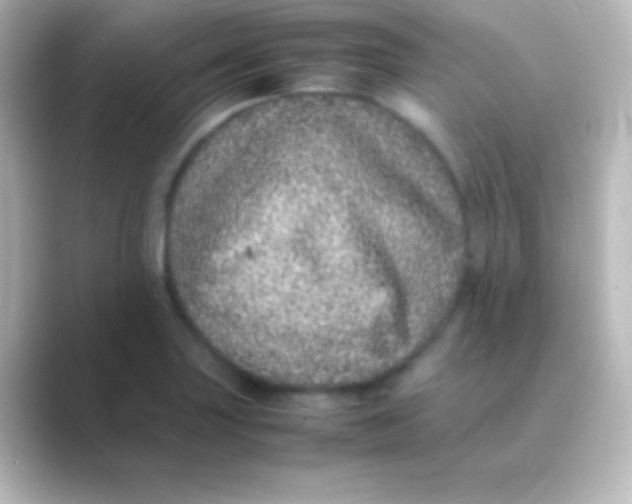 X0000088701227200706211939