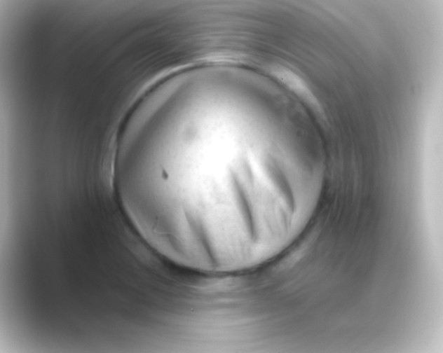 X0000088701228200706211939