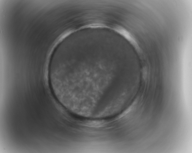 X0000088701229200706211939