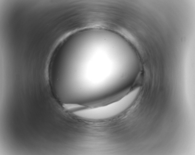 X0000088701230200706211939