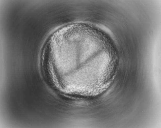 X0000088701231200706211939