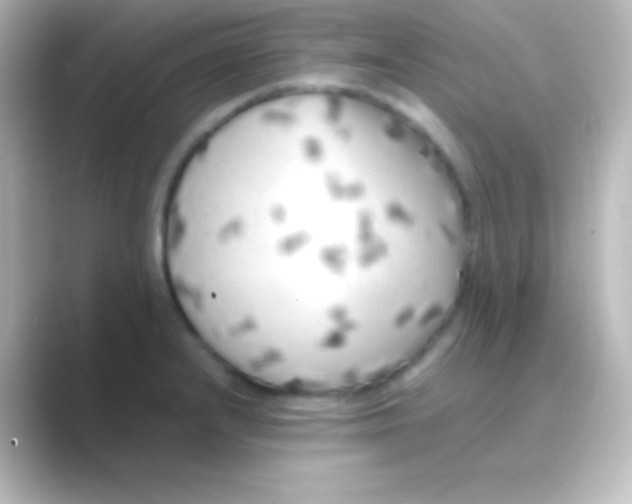 X0000088701232200706211939