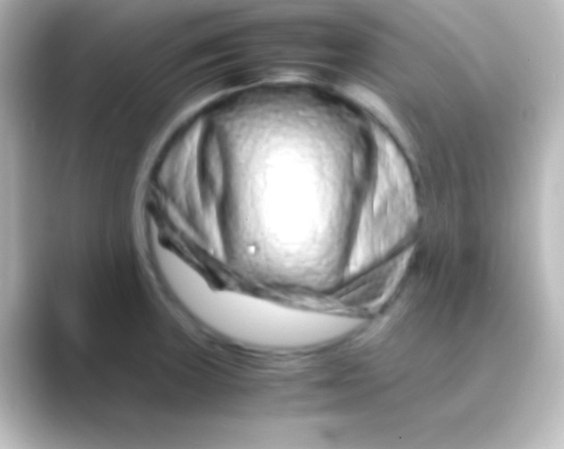 X0000088701235200706211939