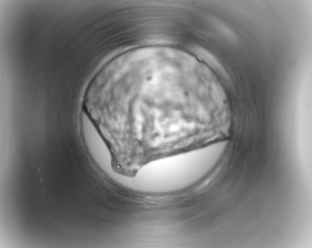 X0000088701236200706211939