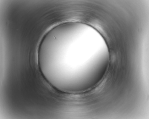X0000088701238200706211939