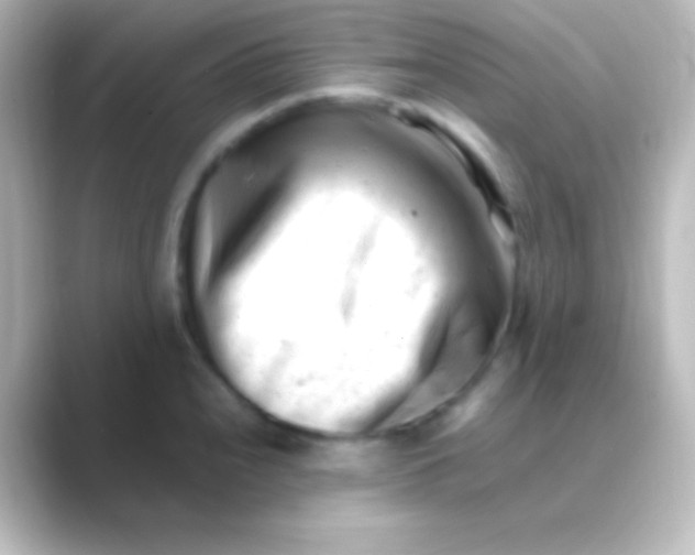 X0000088701240200706211939