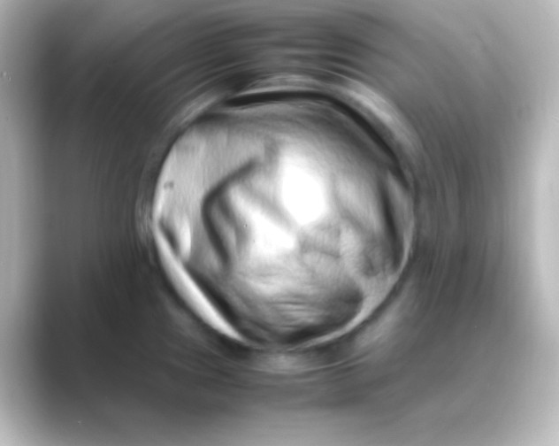 X0000088701241200706211939
