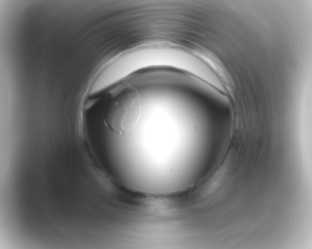 X0000088701242200706211939