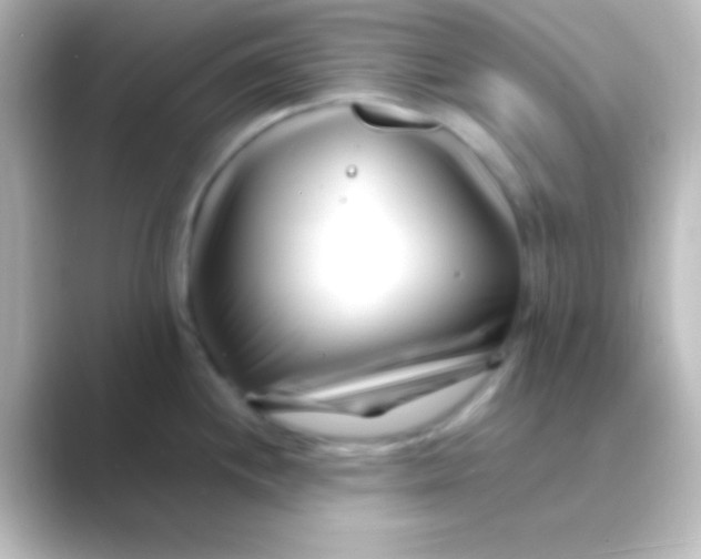 X0000088701244200706211939