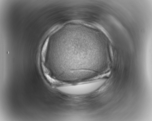 X0000088701245200706211939
