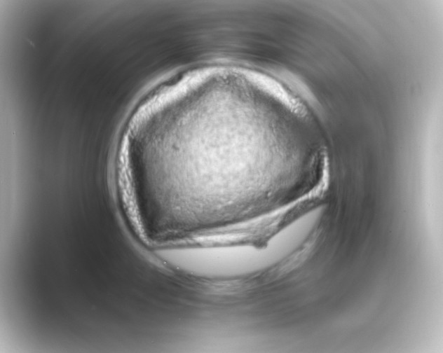 X0000088701247200706211939