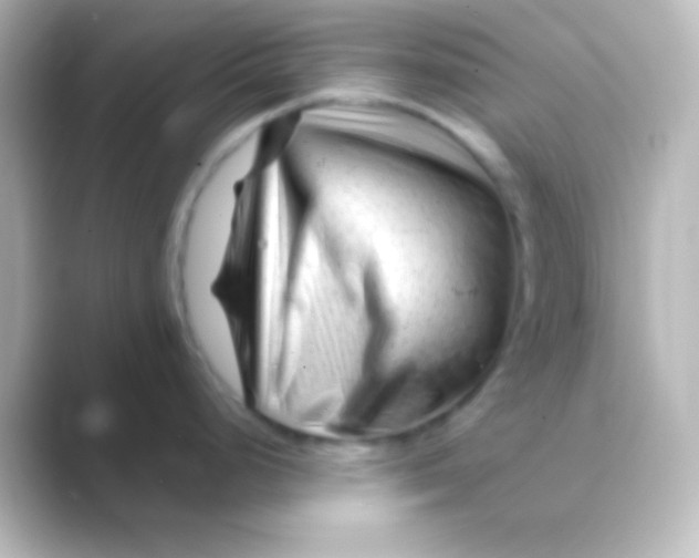 X0000088701248200706211939