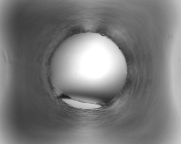 X0000088701249200706211938