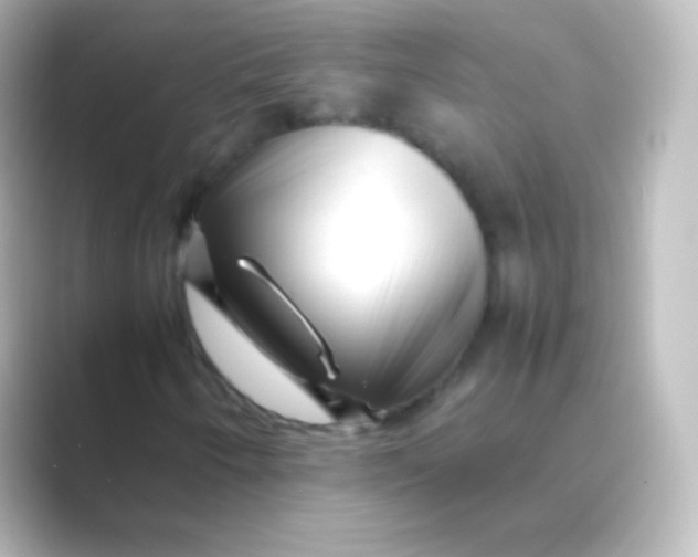 X0000088701250200706211938