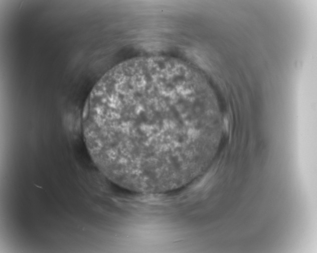 X0000088701251200706211938