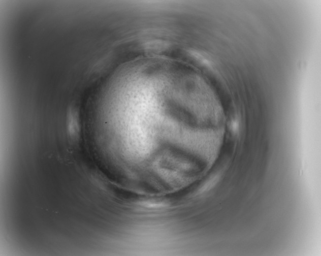 X0000088701252200706211938
