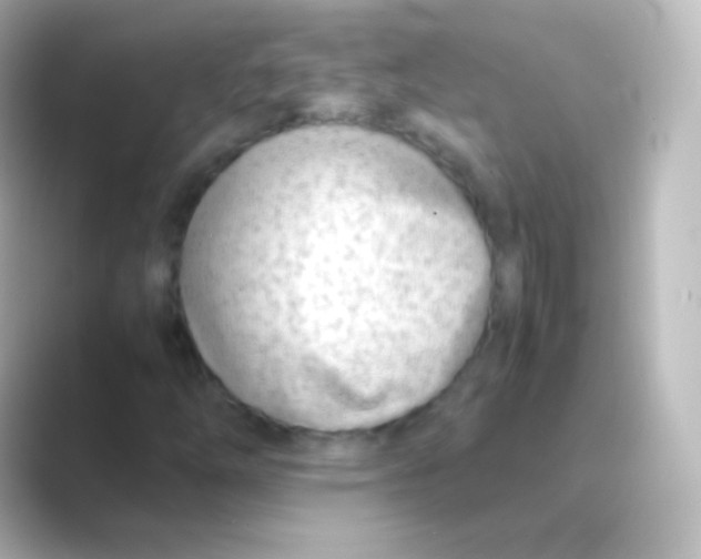 X0000088701254200706211938
